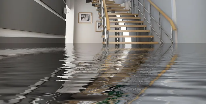 Water Damage and Poor Drainage